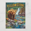 Buscar oso grizzly postales Aventura