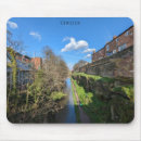 Buscar chester Cortina