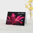 Buscar lirio rojo tarjetas Fotografía