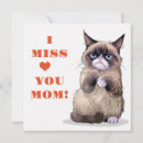 Buscar cat mom postales Gatitos