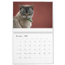 Buscar gatos de tabby calendarios Felinos