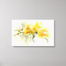 Buscar orquídeas lienzos Amarillo