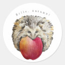 Buscar erizos pegatinas Hedgehog