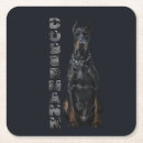Buscar pinscher posavasos Dobie