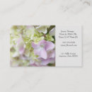 Buscar hortensia tarjetas de visita Flores