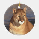 Buscar puma adornos León de montaña
