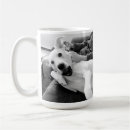 Buscar photography tazas botellas Humor