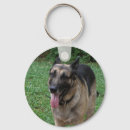 Buscar domesticado llaveros Perro