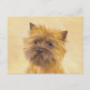 Buscar cairn terrier postales Romano