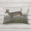Buscar audubon de juan Vintage