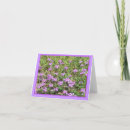 Buscar verbena tarjetas Flores
