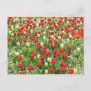 Buscar cama de flores postales Floral