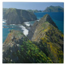 Buscar islas azulejos Naturaleza