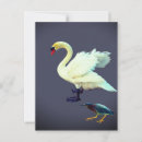 Buscar cisne azul postales Pájaros
