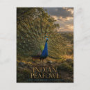 Buscar pavo real indio postales Para todos