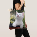 Buscar primero plano bolsos Gato