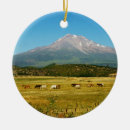 Buscar caballos salvajes adornos Navidades