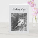 Buscar gorriones tarjetas Animal