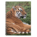 Buscar tiger libretas Gatos