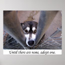Buscar adopte arte Perro