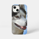Buscar husky siberiano iphone fundas Malamute