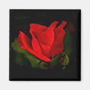 Buscar amor oscuro imanes Floral