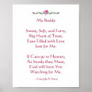 Buscar pérdida del mascota posters Felino