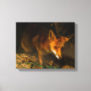 Buscar animales del bosque lienzos General y unisex