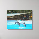 Buscar delfín lienzos Marino