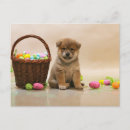 Buscar perro de pascua postales Cachorros