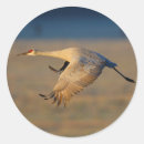 Buscar grúa pegatinas Vida silvestre