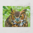 Buscar hojas grandes postales Naturaleza