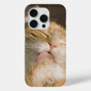 Buscar orejas iphone fundas Animales