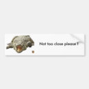 Buscar cocodrilo pegatinas parachoque Humor