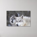 Buscar lobos lienzos Invierno