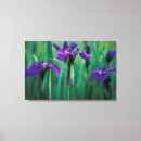 Buscar profundidad lienzos Flor