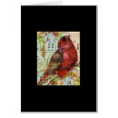 Buscar redbird Rojo