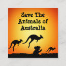 Buscar australia tarjetas de visita Koala