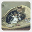 Buscar lona pegatinas Privado