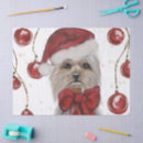 Buscar yorkshire terrier papel de seda Navidad