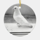 Buscar palomas blancas adornos Ornamento