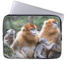 Buscar amenazado electronica Primate