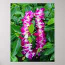 Buscar leus posters Tropical