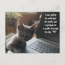 Buscar selfies postales 9 º gata