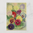Buscar flores vintage postales Pansy