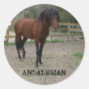 Buscar andaluz pegatinas Caballo