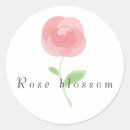 Buscar cojines pegatinas Rosa