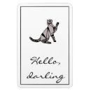 Buscar gato fresco imanes Gatos