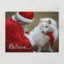 Buscar samoyedo postales Spitz