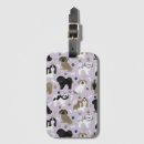 Buscar shihtzu accesorios Lindo